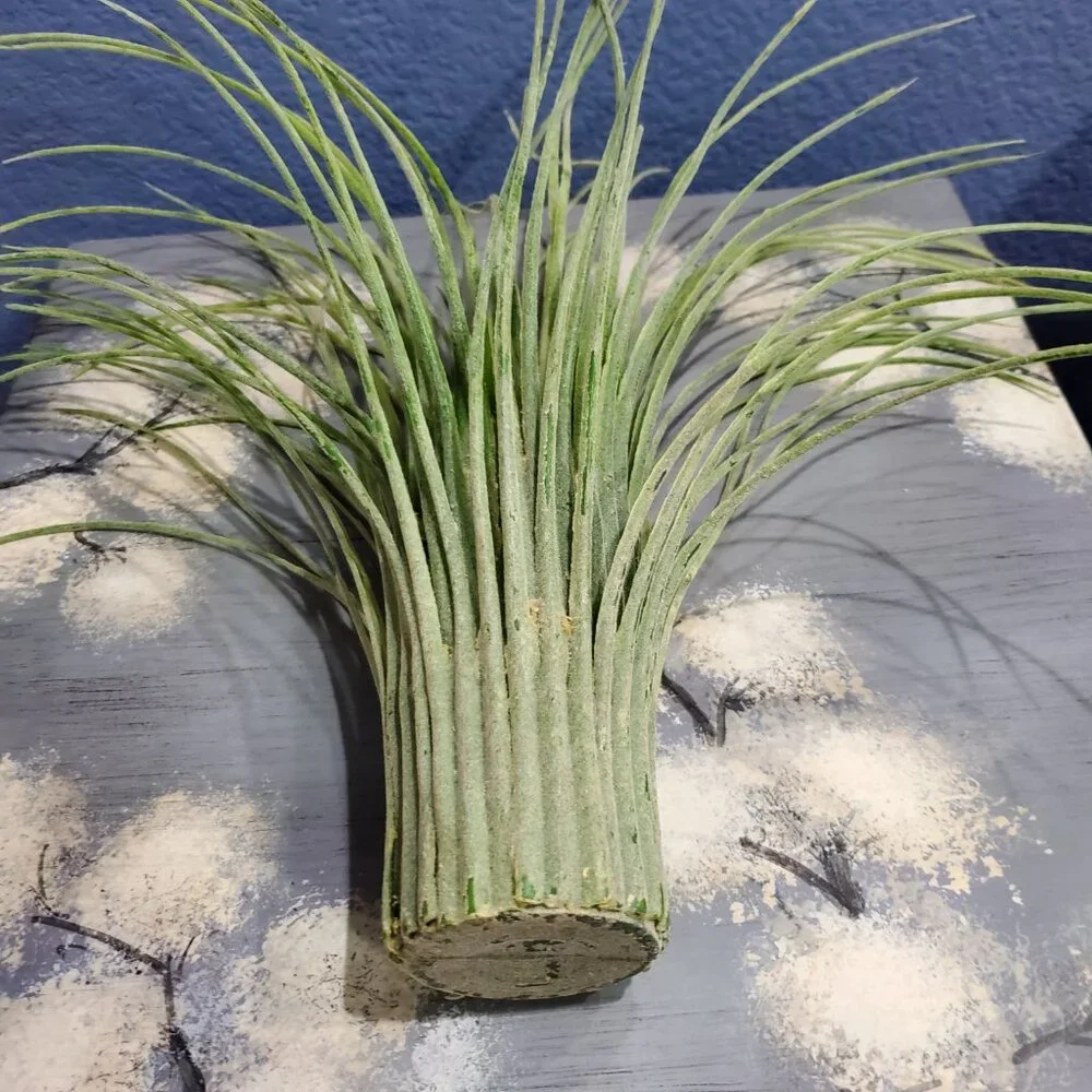 Artificial Grass Vases, Set of Two, Rare Vintage